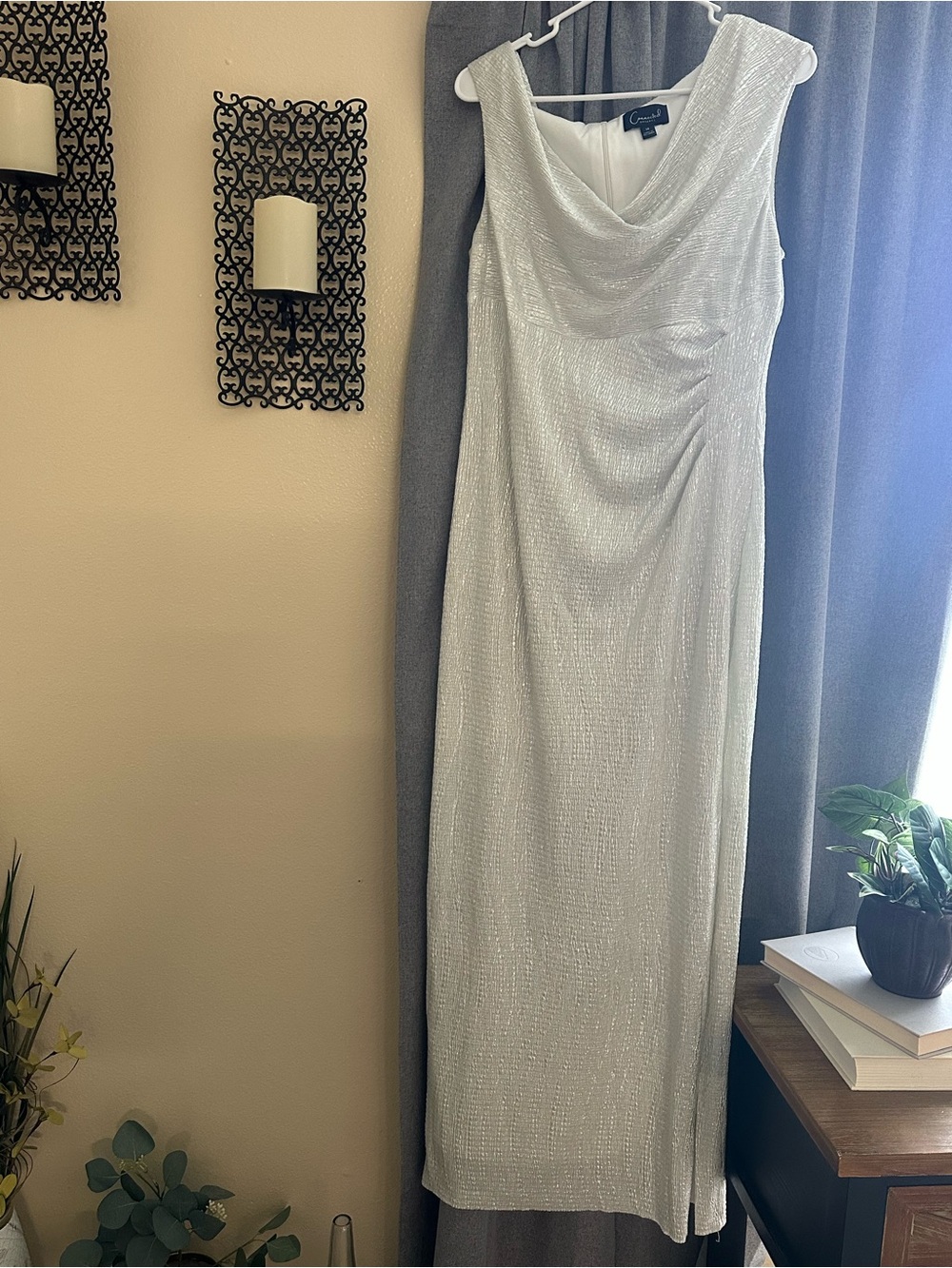 Elegant Silver Cowl Neck Evening Dress